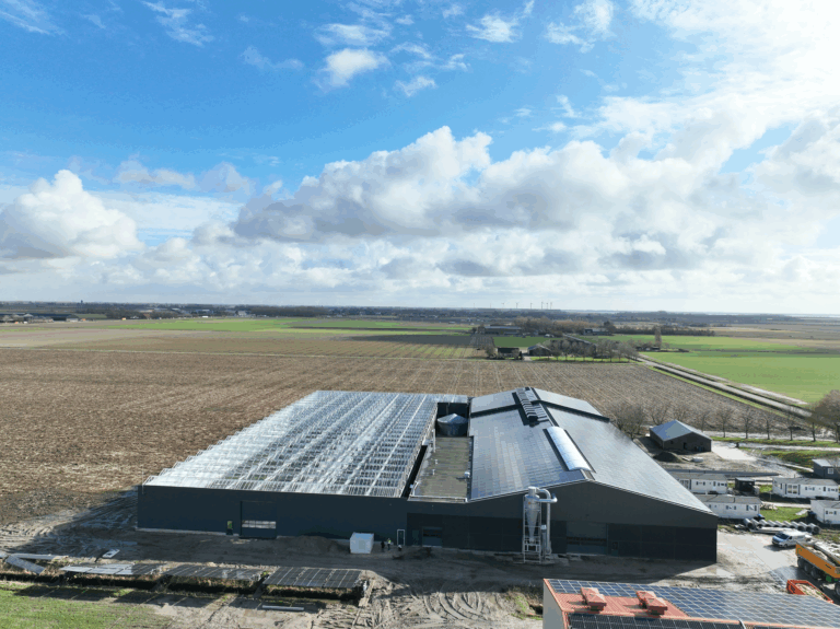 Dogterom Flowerbulbs in Oude-Tonge met zonnepanelen